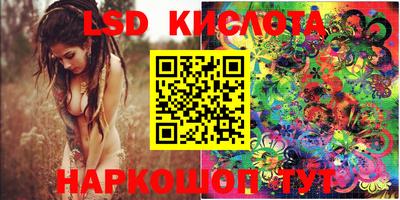 шишки Свободный