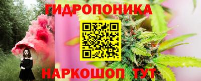 шишки Свободный