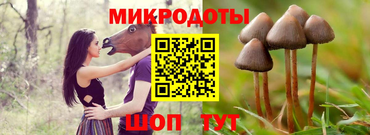Протвино  Псилоцибиновые грибы мицелий  Вход с VPN 